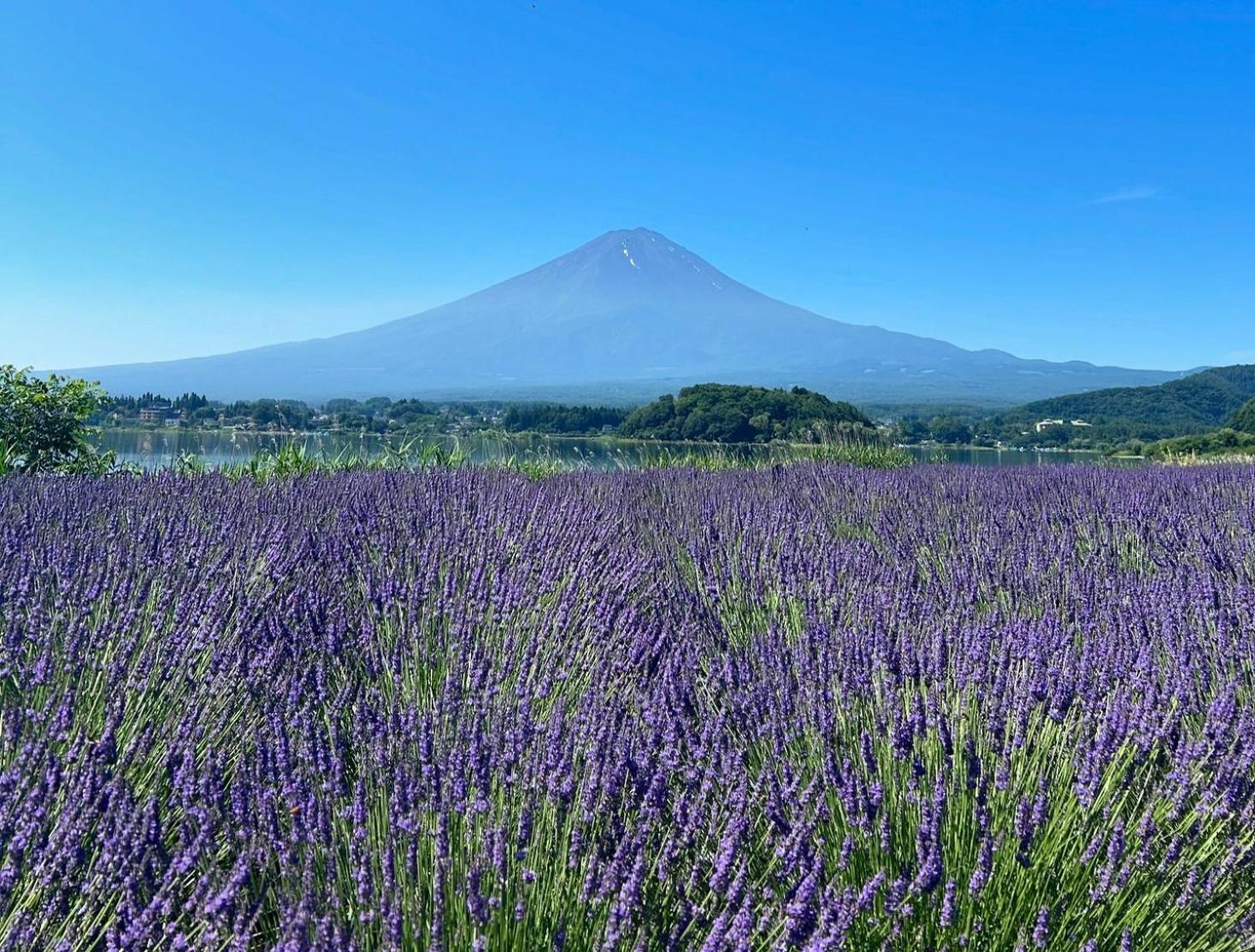 Holiday Home Furinkazan 風林火山 Fujikawaguchiko Εξωτερικό φωτογραφία